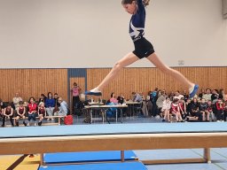 Gaumeisterschaft