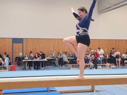 Gaumeisterschaft
